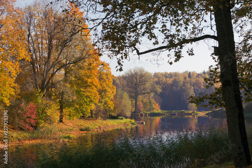 The calming autumn landscape