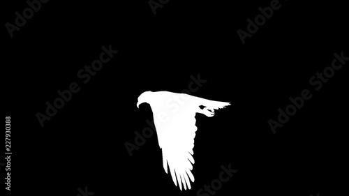 White silhouette of a flying eagle. Alpha channel. Alpha matte. FullHD.