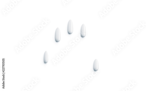 Blank white fake nails mockup set, arm imitation, isolated, 3d rendering. Empty extension fingernail mock up, hand simulation. Clear woman artificial manicure, top view. Gel, acrylic or lacquer design photo