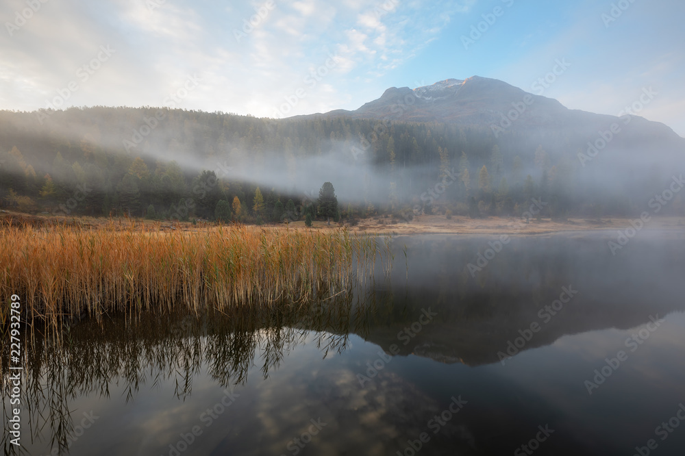Fototapeta premium St. Moritz: Stille am Stazersee (Lej da Staz)