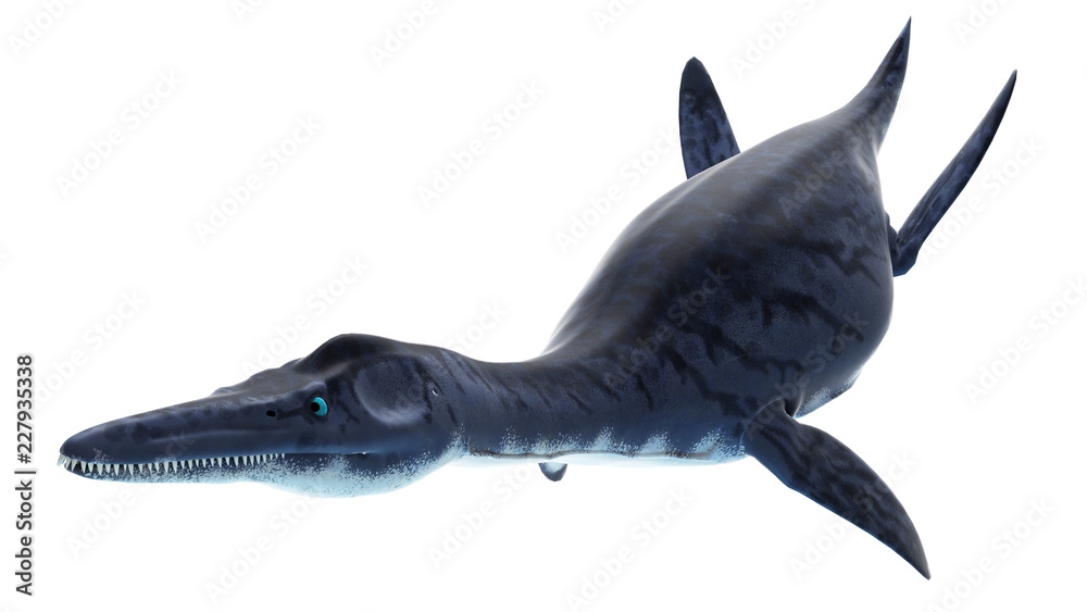Fototapeta premium 3d rendered illustration of a dolichorhynchops