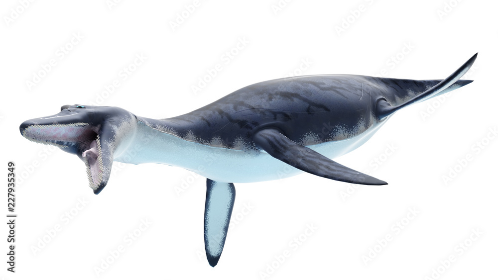 Obraz premium 3d rendered illustration of a dolichorhynchops