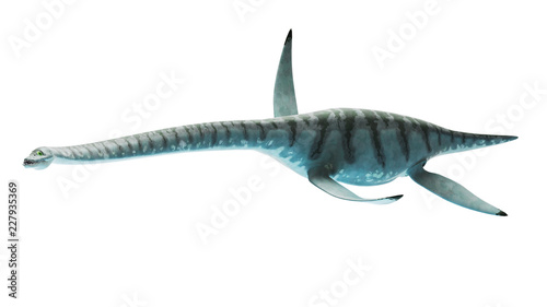 3d rendered illustration of styxosaurus photo