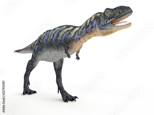 3d rendered illustration of a aucasaurus