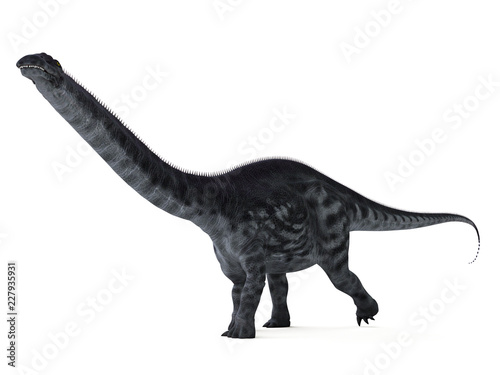 3d rendered illustration of a apatosaurus