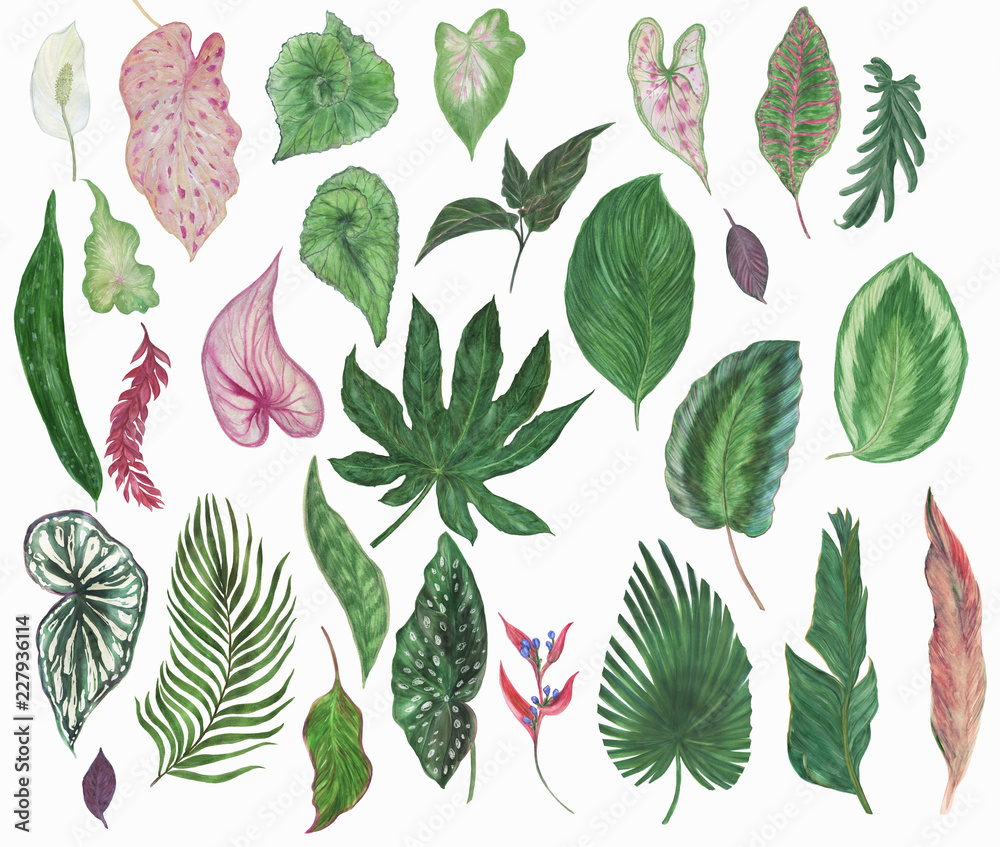 Naklejka premium Colorful floral collection with tropical leaves and beautiful flowers, drawing watercolor. Design for invitation, wedding or greeting cards