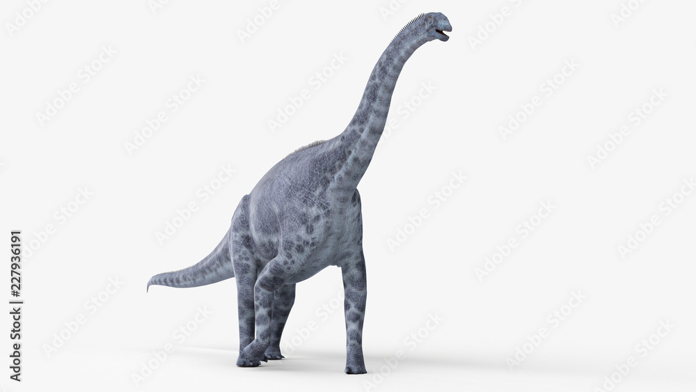 3d rendered illustration of a cetiosaurus 3d rendered illustration of a cetiosaurus