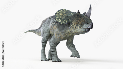 3d rendered illustration of a brachyceratops