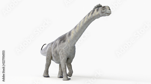3d rendered illustration of a camarasaurus