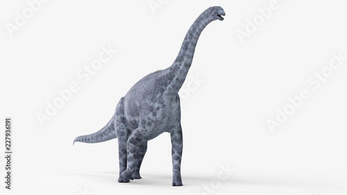 3d rendered illustration of a cetiosaurus © Sebastian Kaulitzki