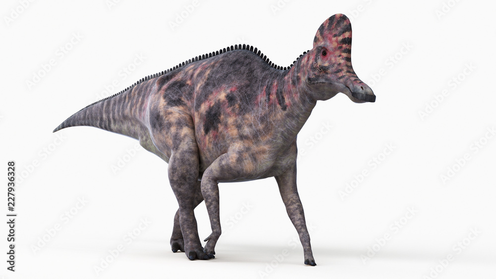 Fototapeta premium 3d rendered illustration of a corythosaurus
