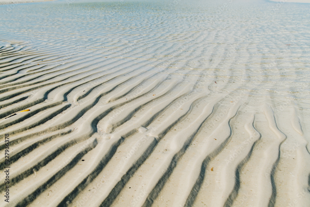 Fototapeta premium sand and water - Whitsunday islands