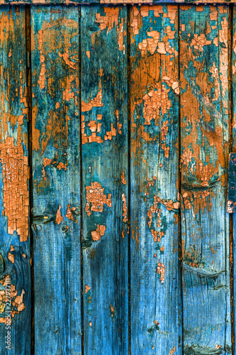 Vintage painted wooden background texture of wooden weathered rustic wall with peeling paint. Empty space for copy old wood texture. Cracked paint with lots of small cracks, abstract grunge texture