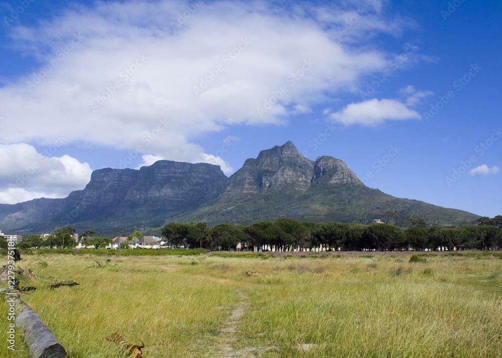 Summer landscape of Table Mountain and Lion's Head in Cape Town, with a green field, trees and houses in the foreground