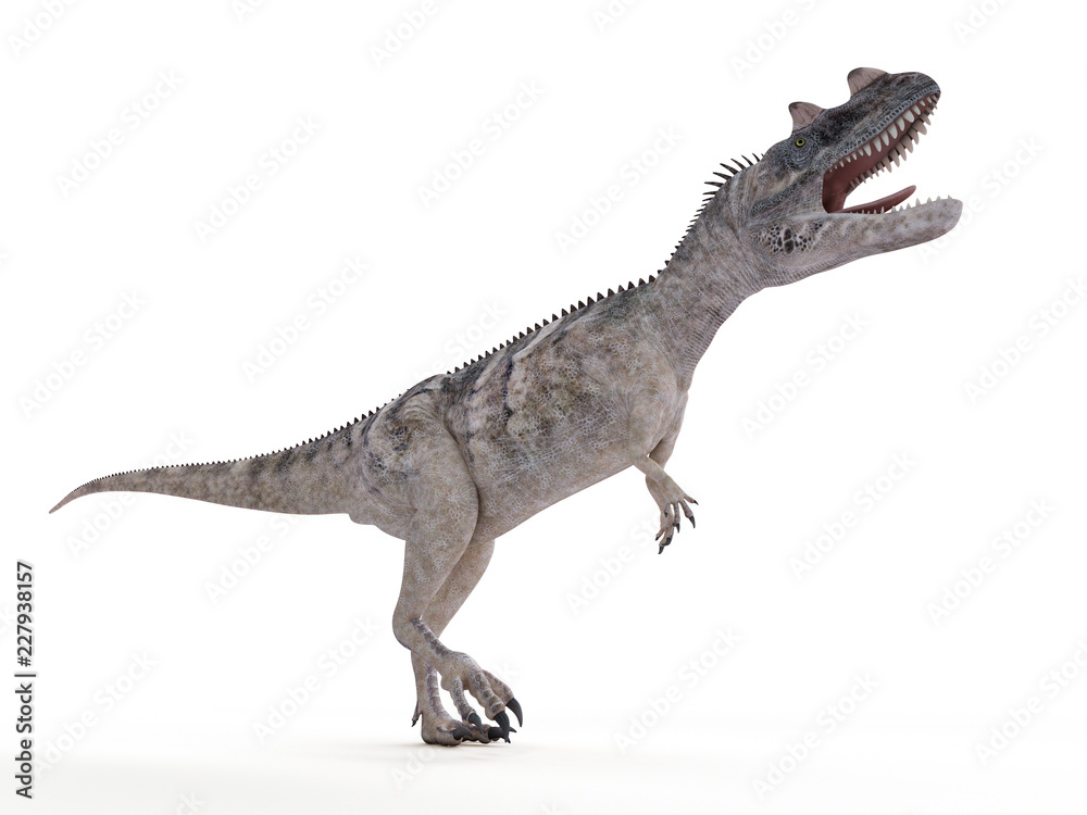 3d rendered illustration of a ceratosaurus 3d rendered illustration of a ceratosaurus