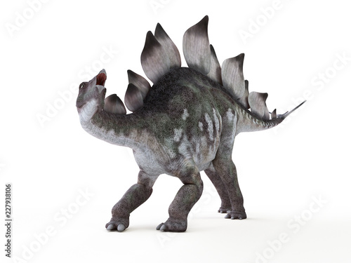 3d rendered illustration of a stegosaurus