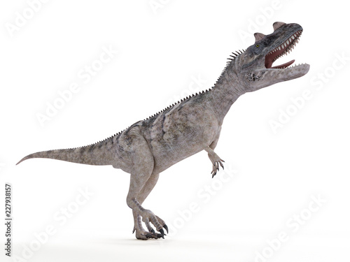 3d rendered illustration of a ceratosaurus © Sebastian Kaulitzki