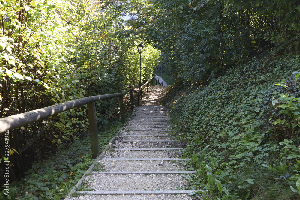 Obraz premium Autumn Landscape