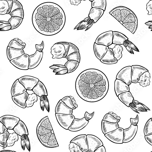 Vector shrimp hand drawn sketch .  Sketch vector  food illustration. Vintage style