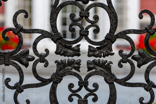 Decorative courtyard gates made of metal.