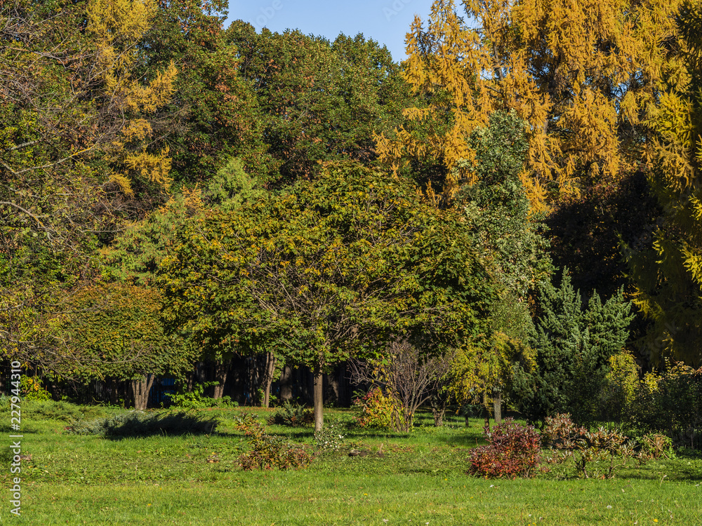 Fototapeta premium Autumn landscape