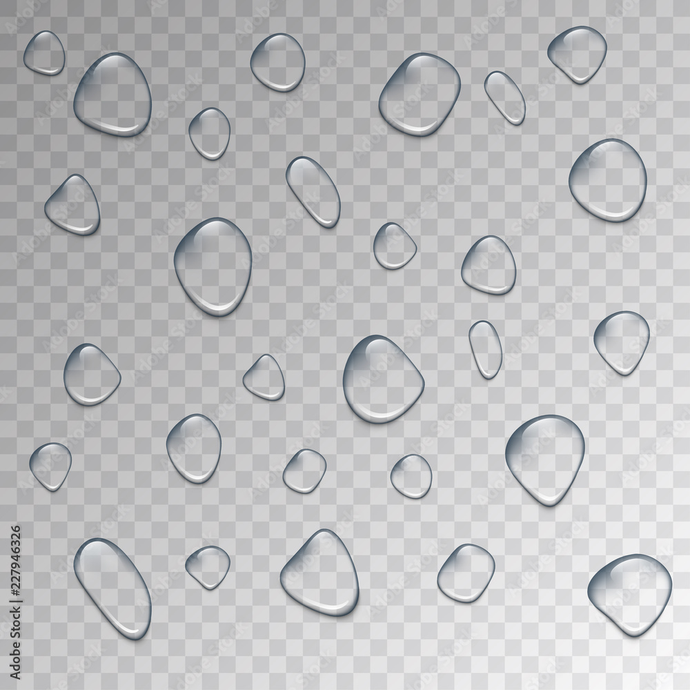 Water droplets. Set of realistic water droplets on the transparent background. Vector illustration.