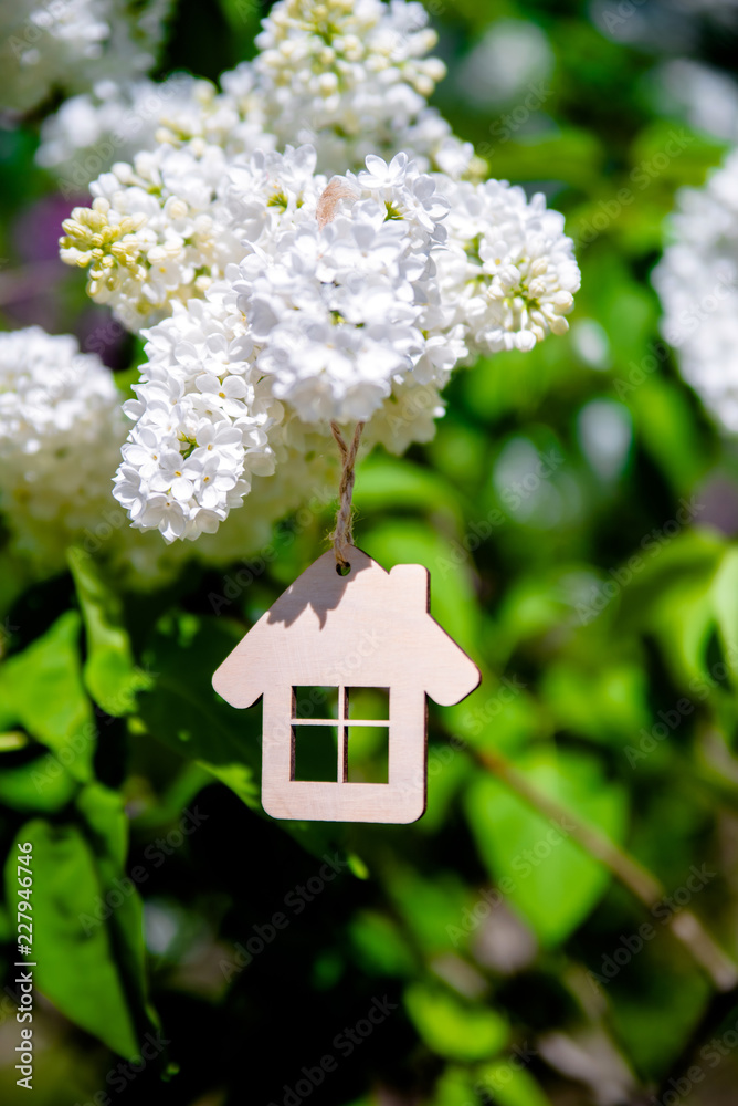 The symbol of the house among the branches of the white lilac The symbol of the house among the branches of the white lilac