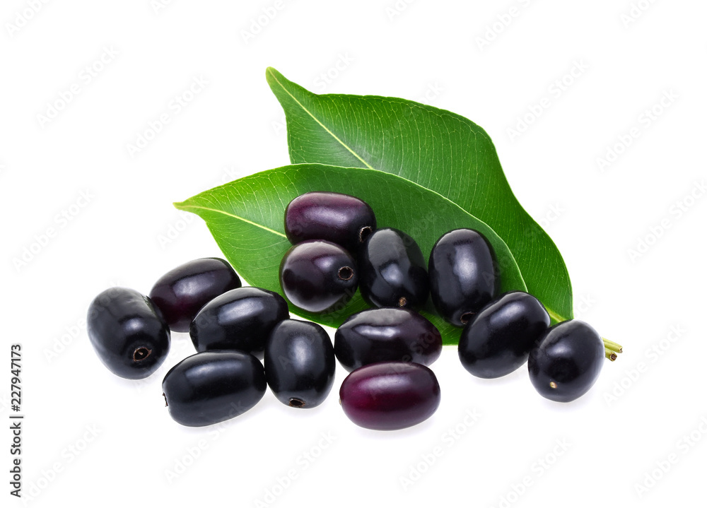 Jambolan plum or Java plum on white background Jambolan plum or Java plum on white background