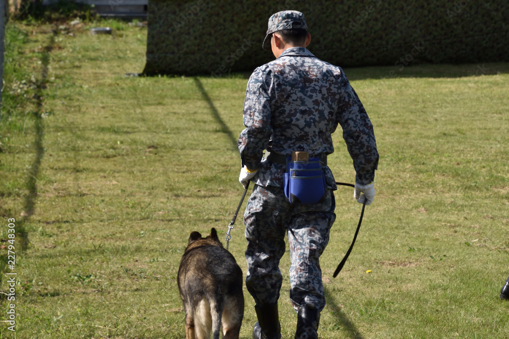航空自衛隊の警備犬とハンドラー Stock Photo Adobe Stock
