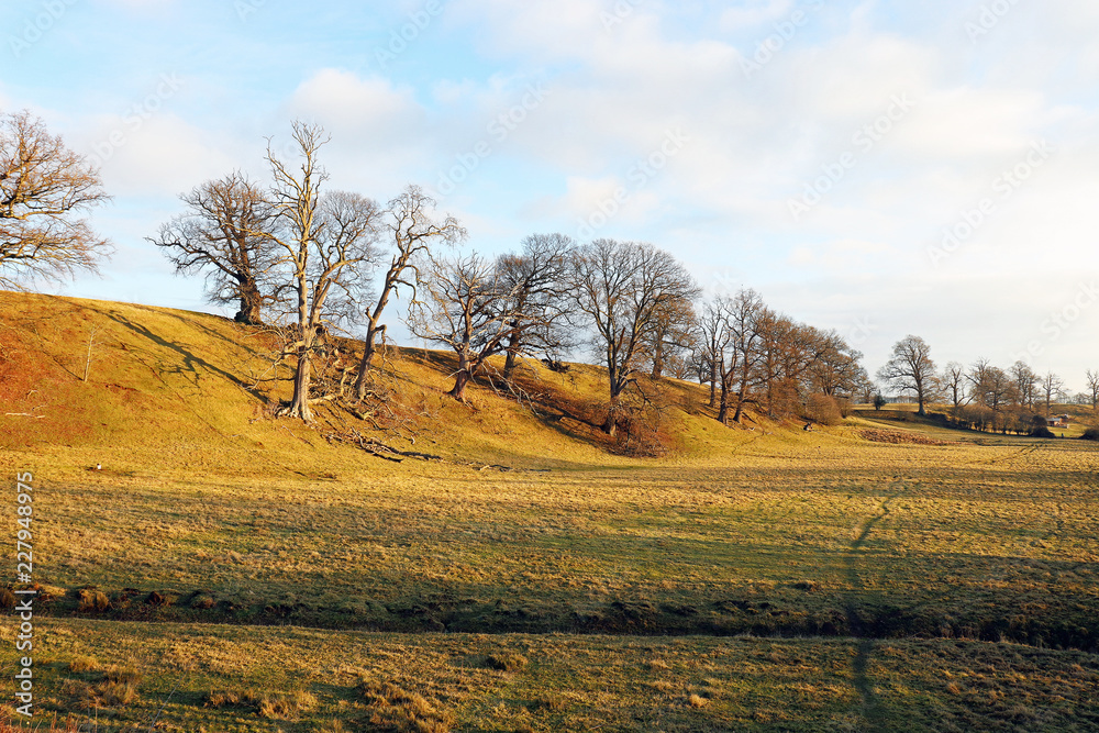 Fototapeta premium Early winter landscape in the Wye valley of England.