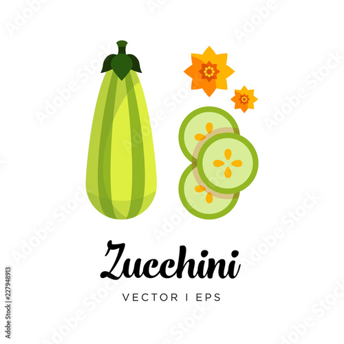 Elegant green fresh striped zucchini  vector editable illustration. Ripe green squash sliced, seeds, flowers, simple flat style.