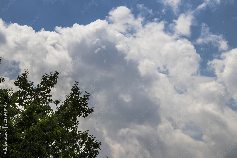 green tree, blue sky and white clouds green tree, blue sky and white clouds