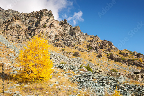 Paesaggio alpino autunnale photo