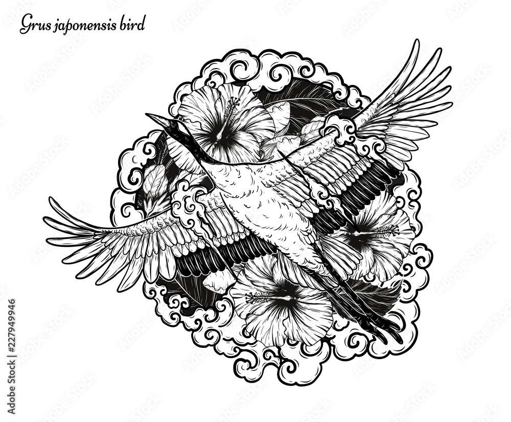 Red-crowned crane with hibiscus tattoo by hand drawing.Beautiful bird on white background.Grus japonensis art highly detailed in line art style.Chinese bird for tattoo or wallpaper. Red-crowned crane with hibiscus tattoo by hand drawing.Beautiful bird on white background.Grus japonensis art highly detailed in line art style.Chinese bird for tattoo or wallpaper.