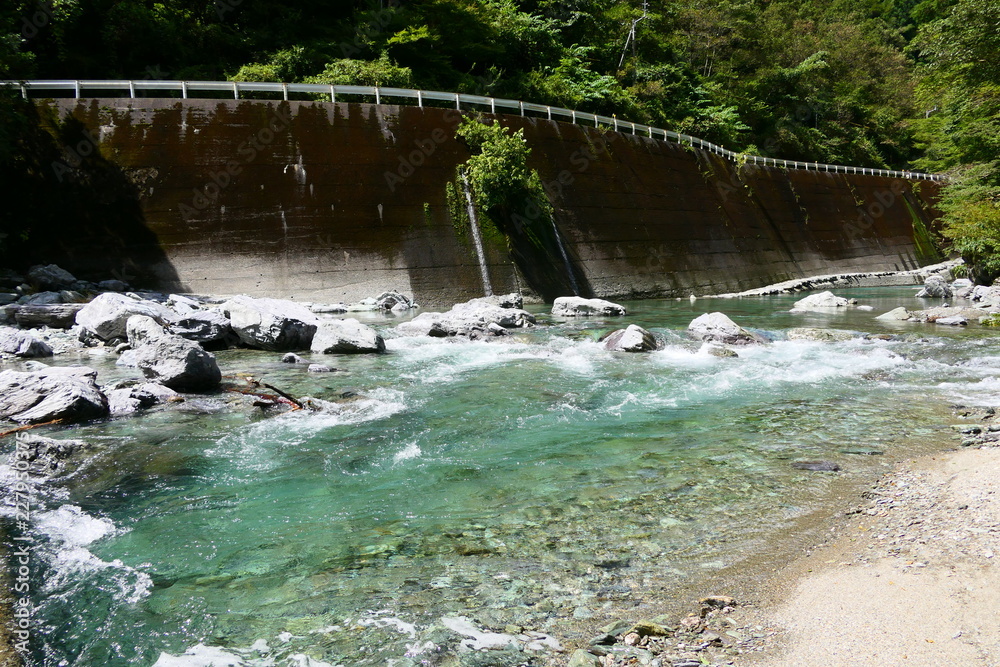 Obraz premium 県道に沿って流れる渓流、安居渓谷。四国の清流、仁淀川の支流。高知 日本。９月中旬。