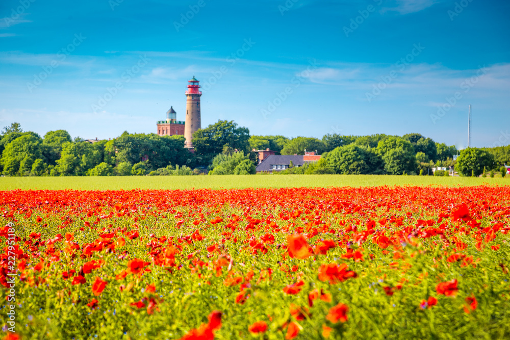 Kap Arkona lighthouse with red poppy flowers in summer, Rügen, Ostsee, Germany