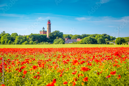 Kap Arkona lighthouse with red poppy flowers in summer  R  gen  Ostsee  Germany