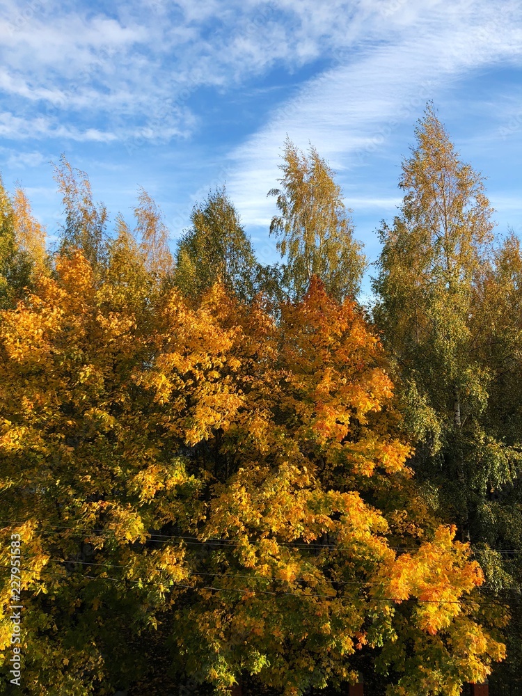 Beautiful autumn landscape in the village view 