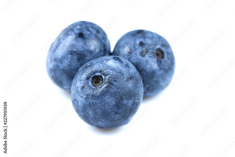 blueberry on white background blueberry on white background