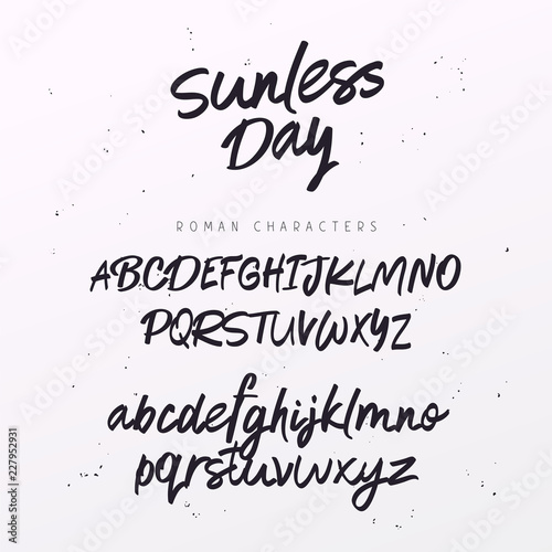 Script Font. Brush painted letters. Vector hand drawn alphabet