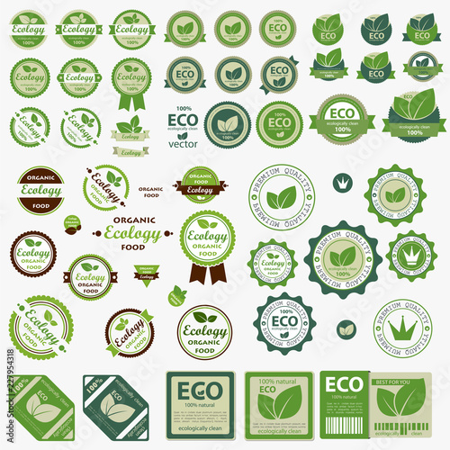 Big set of Eco labels with retro vintage design. Vector