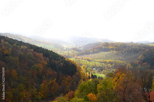 autumn lake forest polska