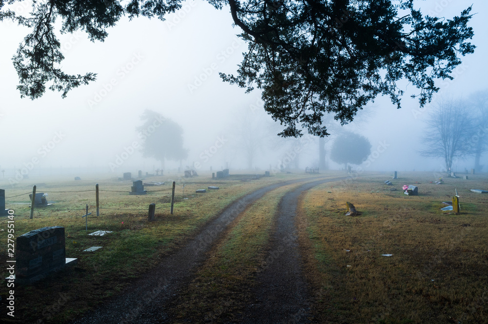 cemetery in fog