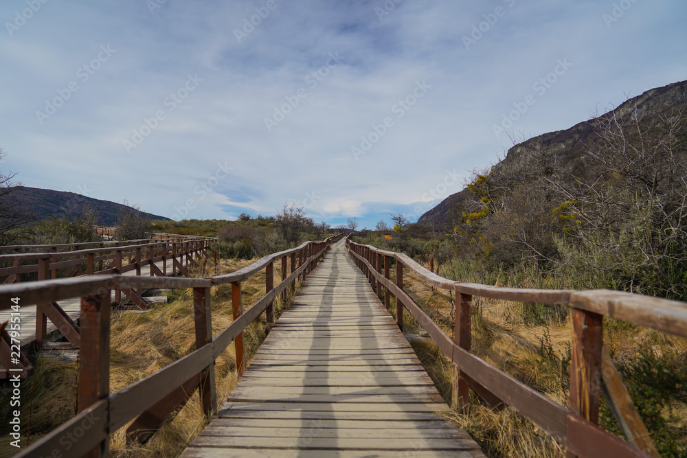 The footbridge