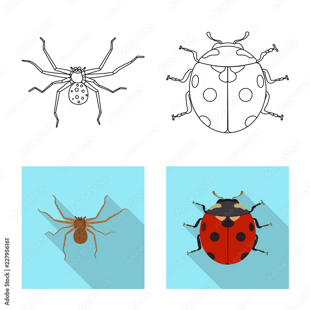 Fototapeta premium Isolated object of insect and fly sign. Collection of insect and element stock vector illustration.
