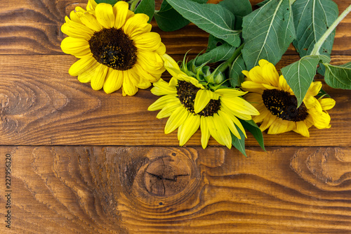 Fototapeta Naklejka Na Ścianę i Meble -  Decorative sunflowers on the wooden background