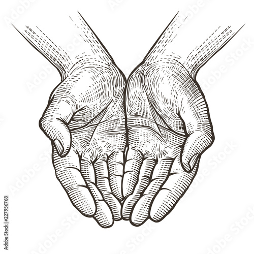 Cupped hands, folded arms sketch. Vintage vector illustration