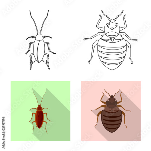 Vector illustration of insect and fly sign. Collection of insect and element stock symbol for web.