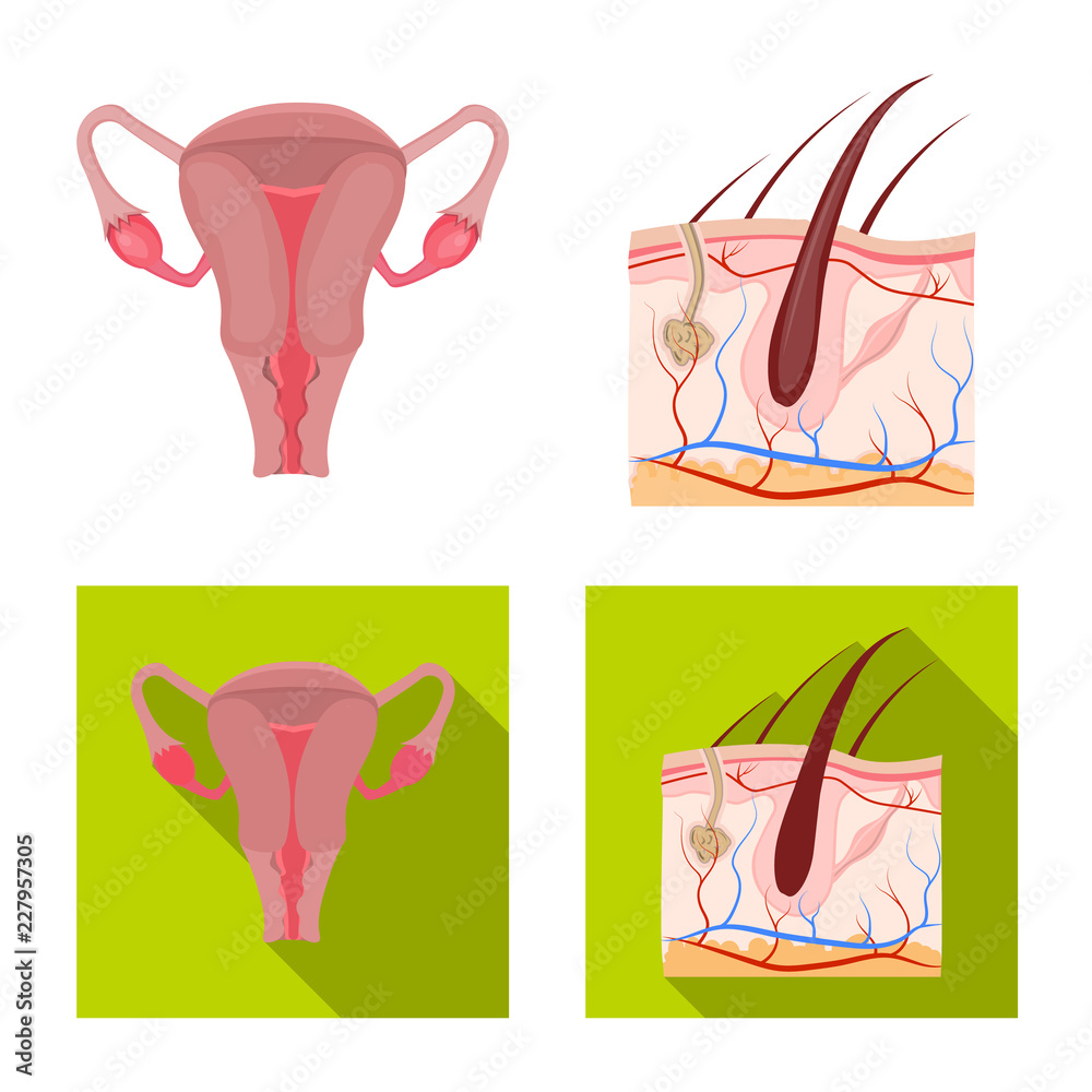 Vector design of body and human symbol. Set of body and medical stock vector illustration.