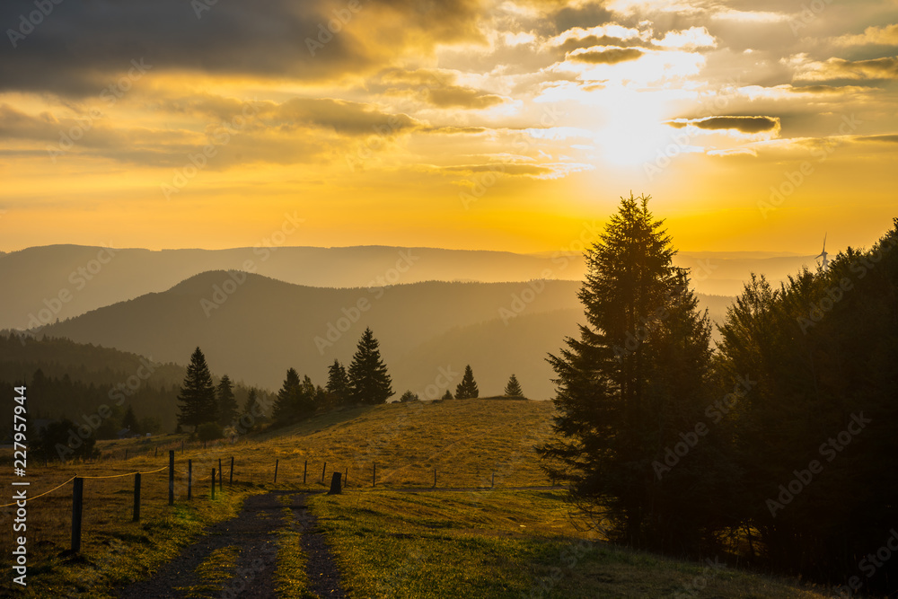 Obraz premium Germany, Black forest misty morning atmosphere at sunrise in paradise